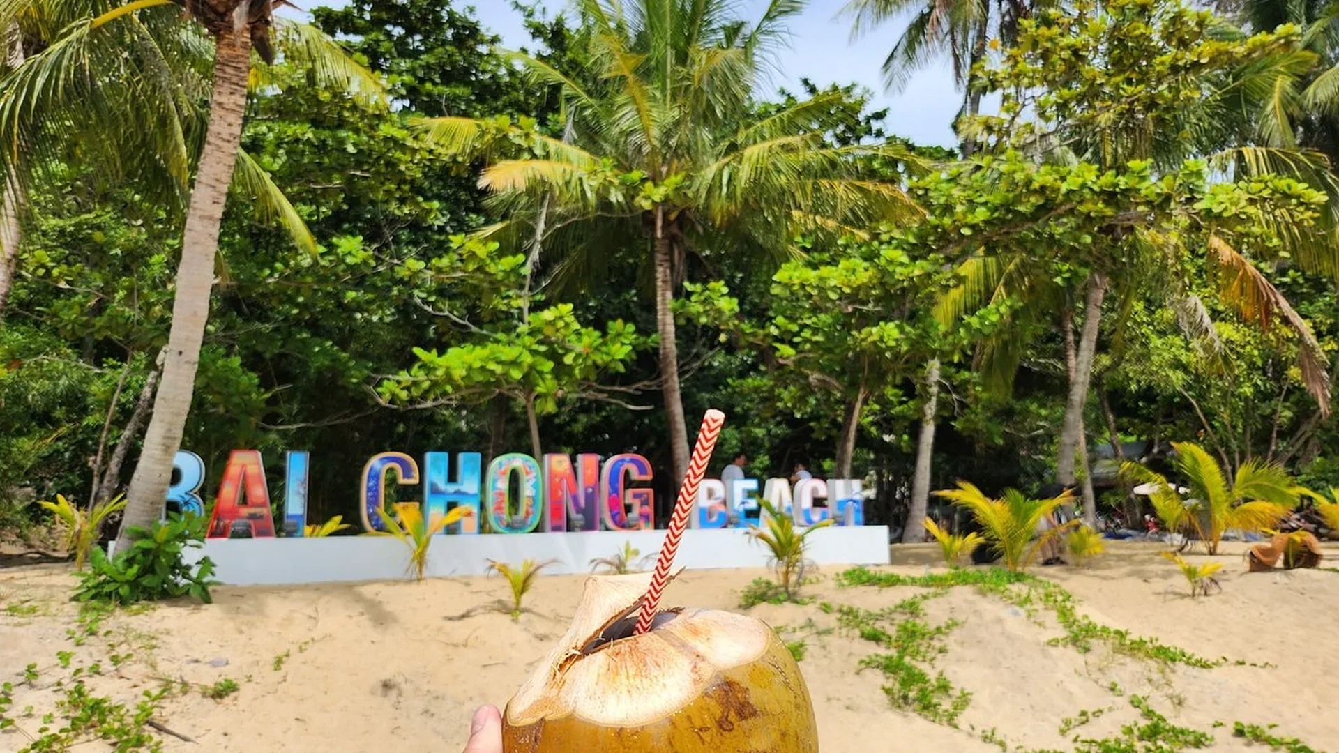 Private Tour | Experience Snorkeling at Cham Island Depart from Da Nang (English/Korean/Chinese guide)